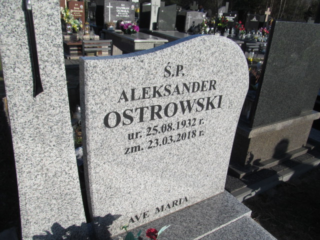 Aleksander Ostrowski 1932 Wyszków - Grobonet - Wyszukiwarka osób pochowanych