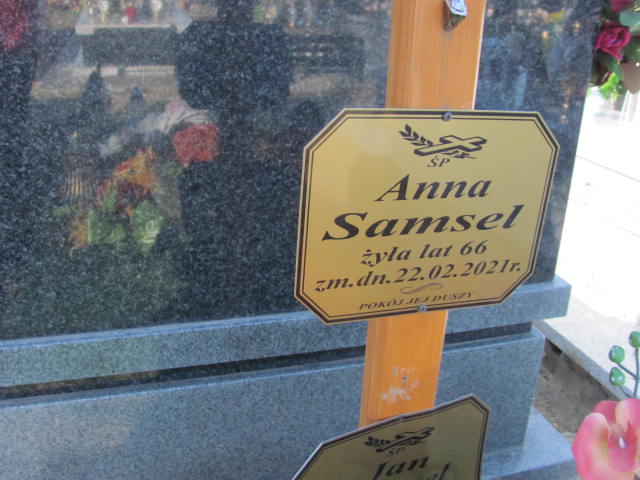 Anna Samsel 1954 Wyszków - Grobonet - Wyszukiwarka osób pochowanych