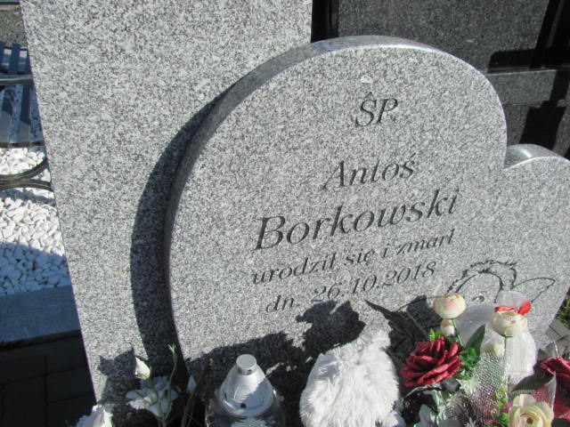 Antoni Borkowski 2018 Wyszków - Grobonet - Wyszukiwarka osób pochowanych
